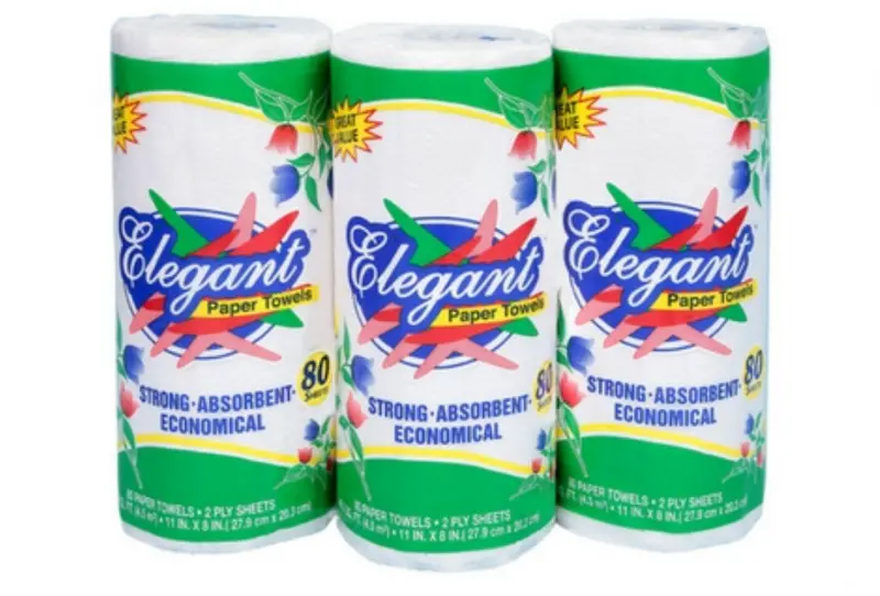Elegant Two-Ply Kitchen Paper Towel Roll 1