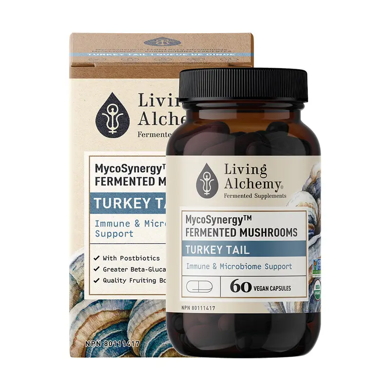 Living Alchemy Mycosynergy Turkey Tail – Organic, Dual-Extract Immune Support 1